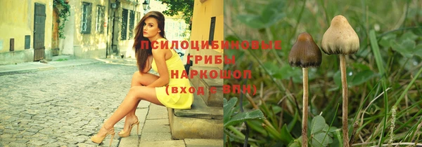 a pvp Богородицк
