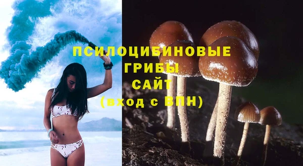 прущая мука Каменск-Шахтинский