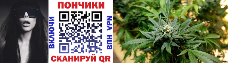 Каннабис White Widow Магас